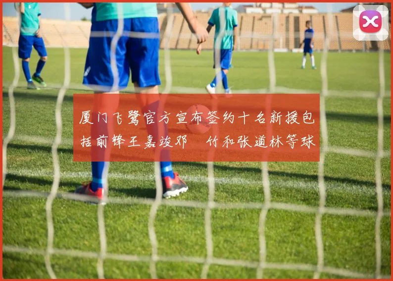 厦门飞鹭官方宣布签约十名新援包括前锋王嘉竣邓棽竹和张道林等球员
